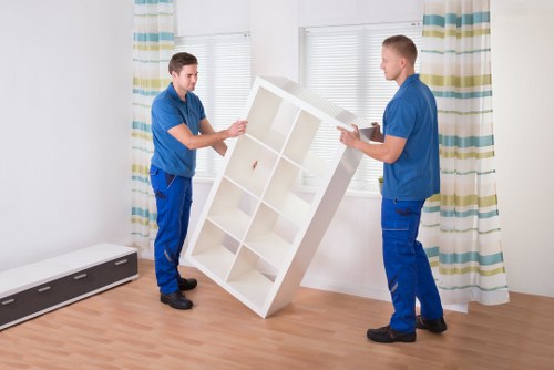 Professional removal of sofas and wardrobes in Seven Sisters