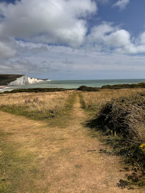 A scenic coastal landscape viewed from a grassy pathway leading towards the sea, with white chalk cliffs in the distance on the left and a cloudy sky overhead. The pathway is bordered by low shrubs and wildflowers on either side, and the ocean appears calm with gentle waves near the shoreline. In the foreground, the uneven grassy surface is visible, while beyond the path, the horizon meets the water under a mixture of dark and light cloud cover. Although there are no furnishings or objects related to house removals in the image, this natural scenery may evoke the environment around a house relocation or moving process near the seaside, which Man with Van Seven Sisters offers in the SEVEN SISTERS area.